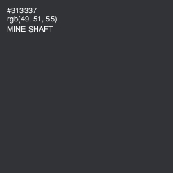 #313337 - Mine Shaft Color Image